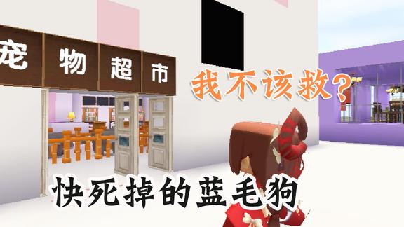 迷你世界蓝毛狗01一只将要被杀死的狗为什么收留它