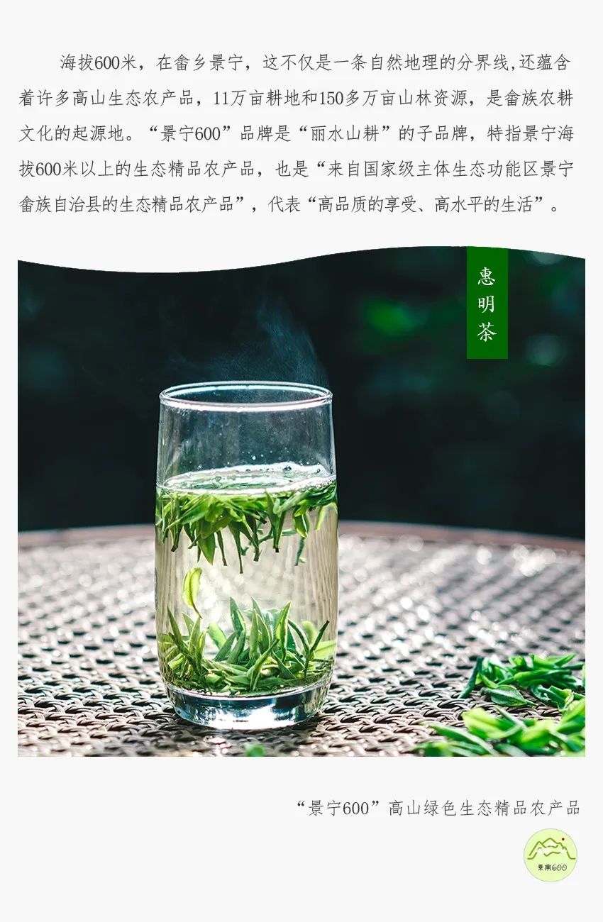 景宁600 | 金奖惠明茶上市,"手工制茶"坚守"匠心传承"