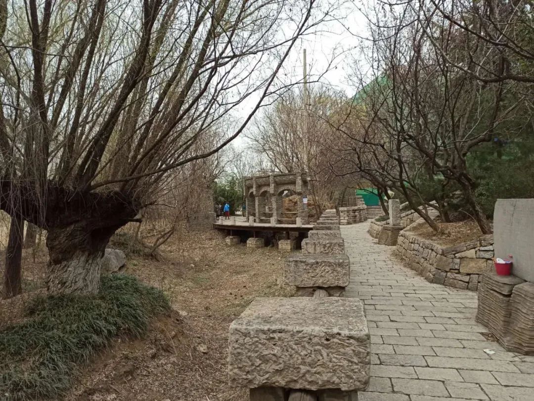 网友炸锅了!_公园