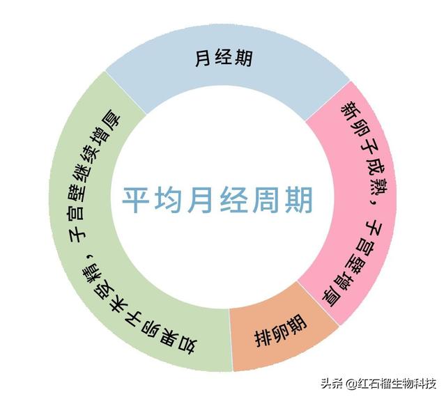 来自搜狐网