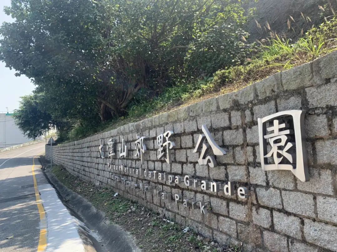 大潭山郊野公园图片