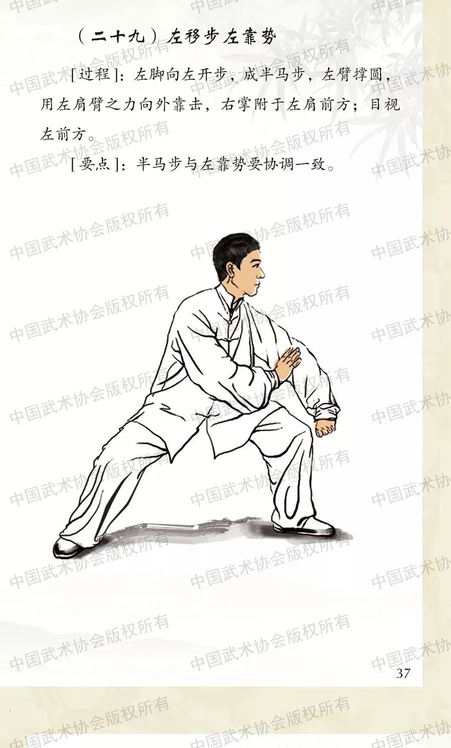 邯郸传统太极拳十八式图片