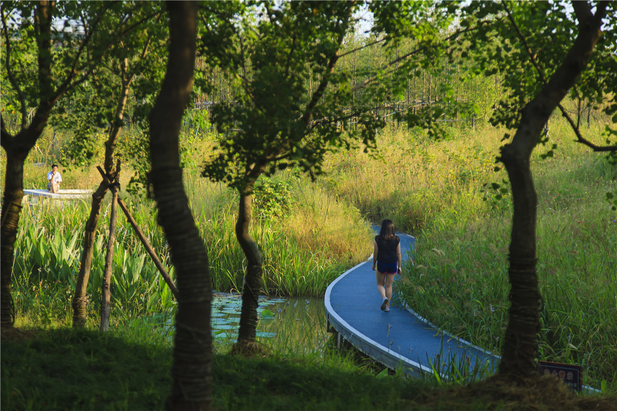 十大最美绿道top10mostbeautifulgreenways