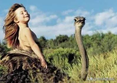 奎文區(qū)勝利東小學(xué):愿每一份守護(hù),都不辜負(fù)你們的成長(zhǎng)(圖4) 奎文區(qū)勝利東小學(xué):愿每一份守護(hù),都不辜負(fù)你們的成長(zhǎng)(圖4)