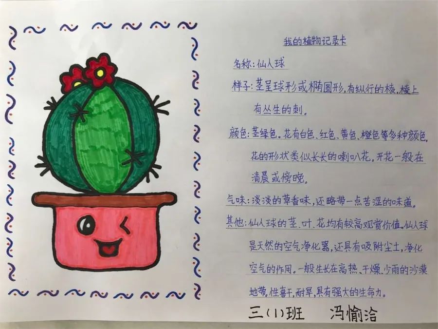 小学生三年级植物名片图片