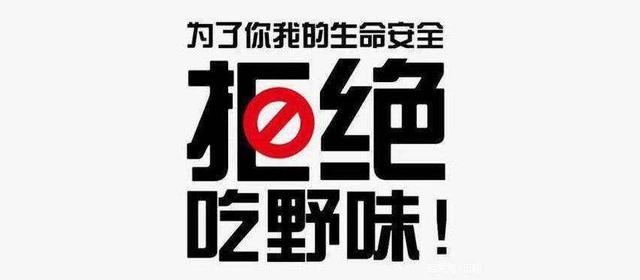 科普| 全面禁止食用野生动物后,鱼,兔子这些动物.