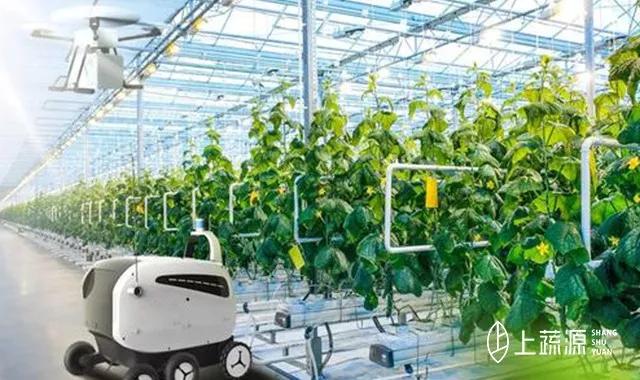 增加到500多公斤,人均占有量高于世界平均水平,农业科技对粮食安全的