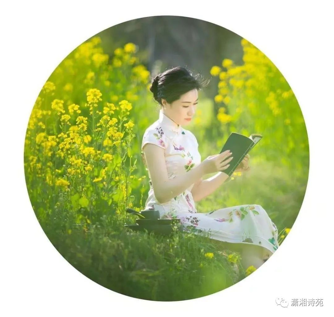 聆听清风暖阳轻引岁月入笺