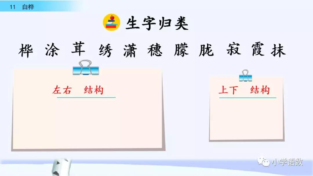 部编版四年级下册第11课《白桦》图文讲解_桦树