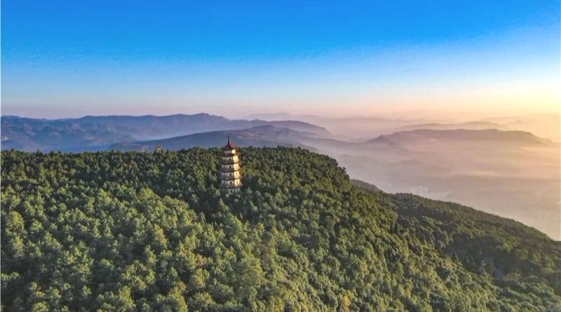 亦或到雙柏白竹山景區,體驗原始森林,茶園觀光和民族文化,參天