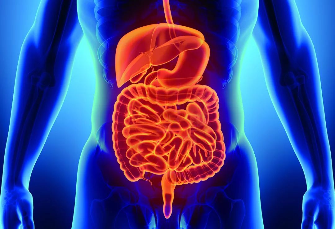 房静远教授说胃肠癌预警防治中的新发现内附视频