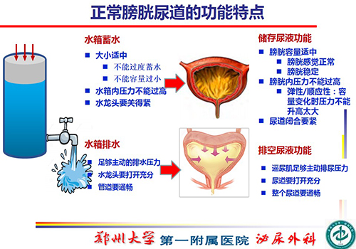 因此,神经源性膀胱治疗目标通过纠正膀胱尿道功能障碍,使其在功能上
