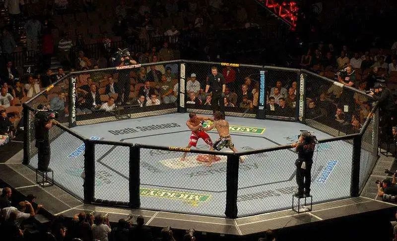 ufc是世界最顶级的综合格斗比赛(也就是八角笼格斗).