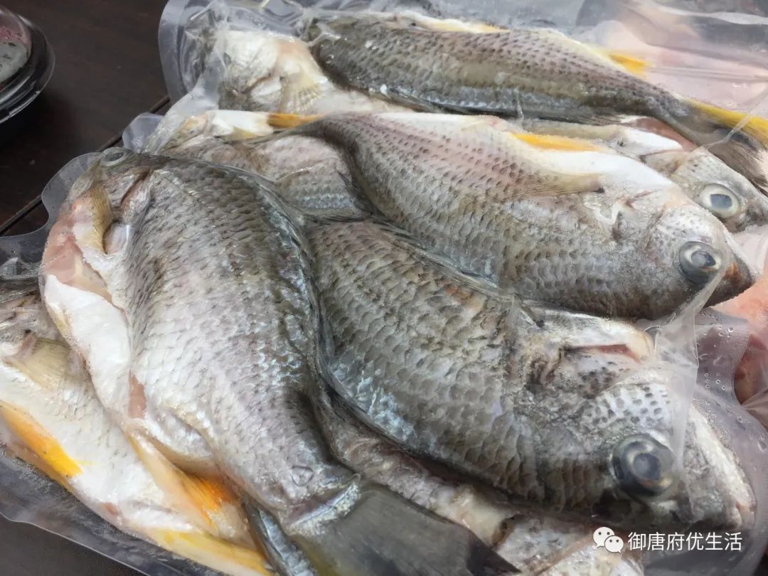 湛江鸡,水产品,海割米,三厨萝卜,辣椒,菠萝,南瓜,青菜,西红柿,各个县