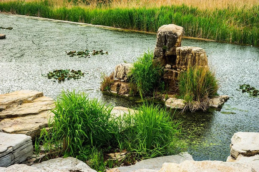 漫行潍坊北辰绿洲湿地公园