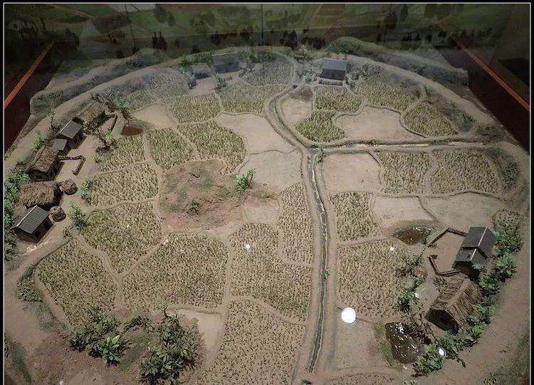 由于冈身以西,原来是经过葑淤成陆的沼泽地区,变成了水田,又有利于