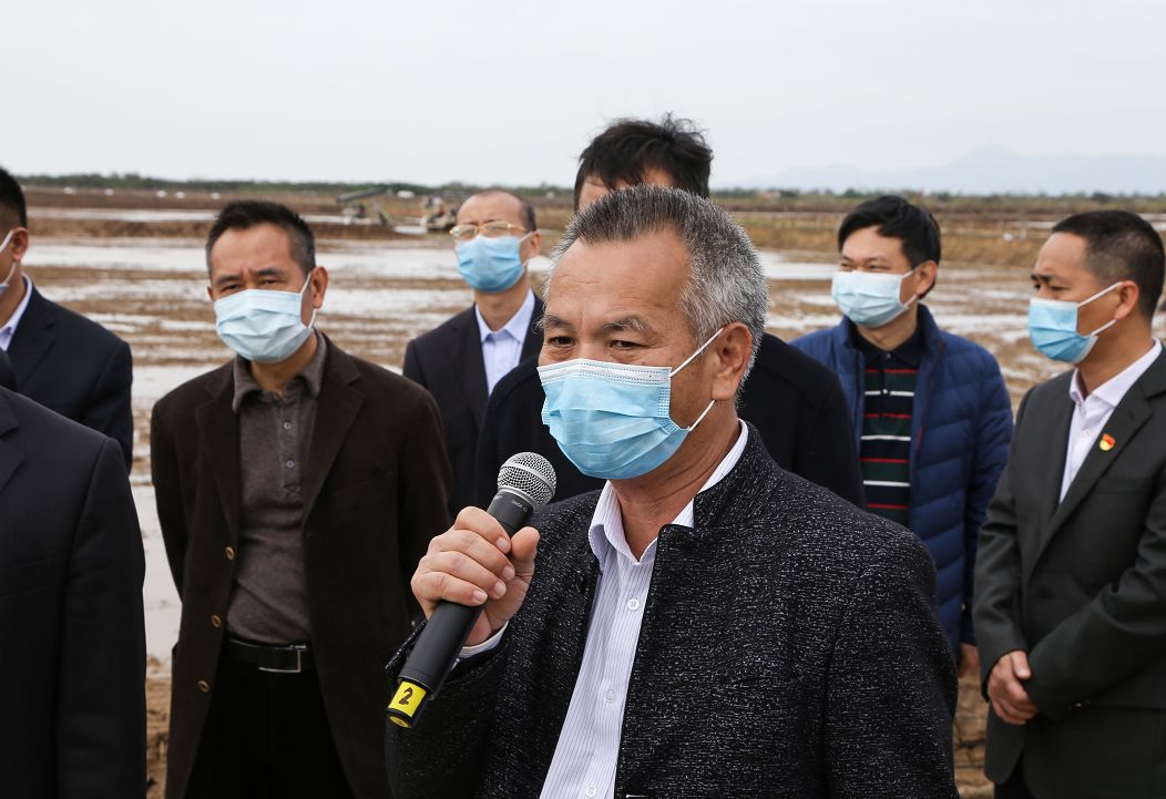 台山海宴这里荒地变良田海水都能种稻谷无人先进机种田技术