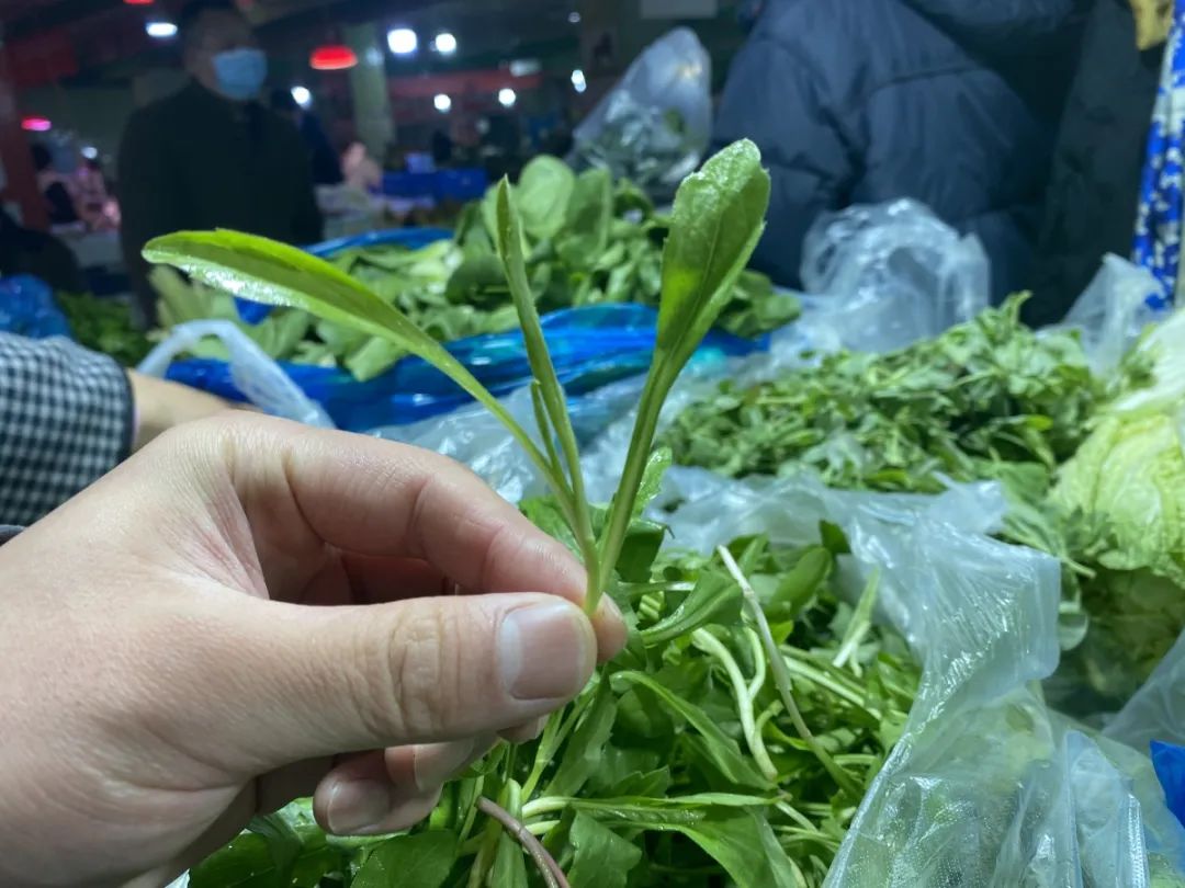 春鲜归来不可辜负的春天美味