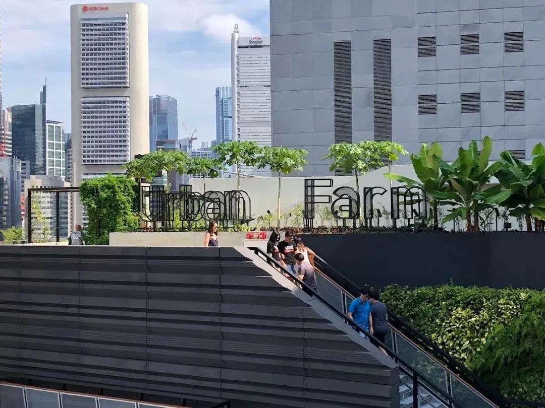 新加坡又一地标级项目诞生看30年的福南数码城如何变身