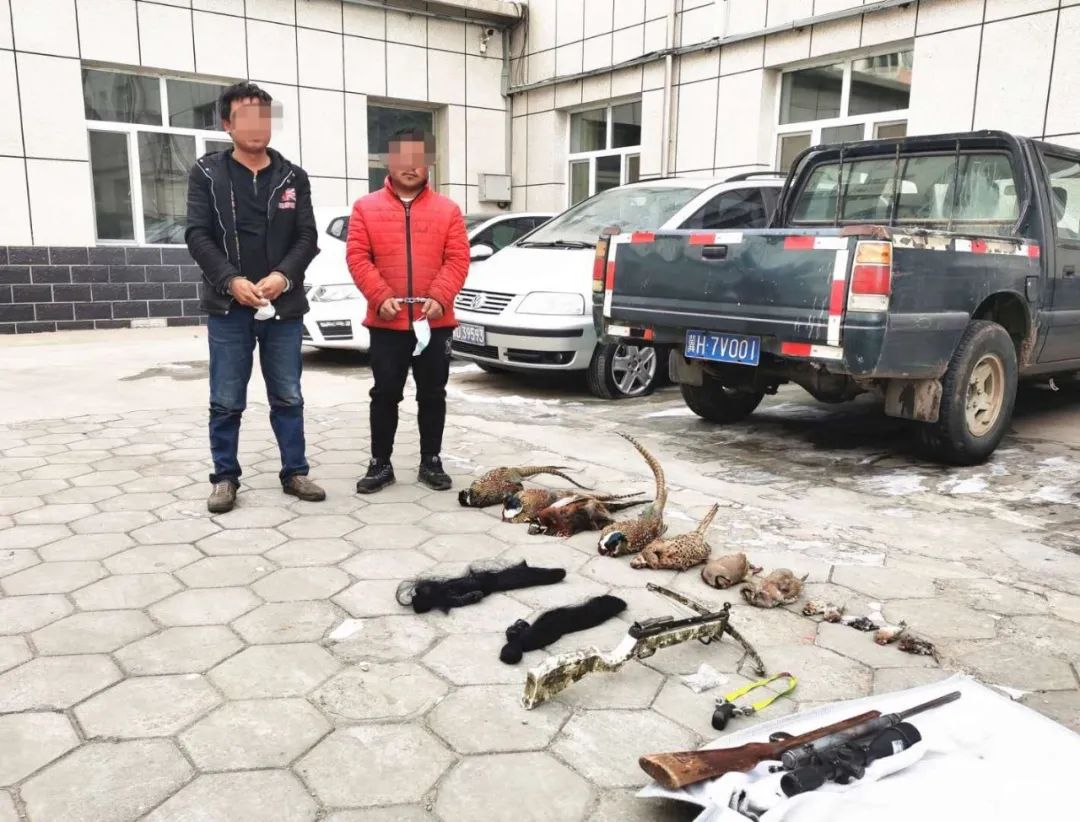 赤峰市松山区森林公安局抓获两名非法捕猎者