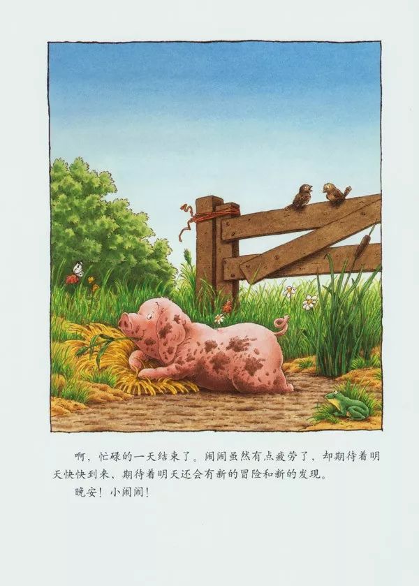 停课不停学金典在行动线上课堂绘本故事小猪闹闹