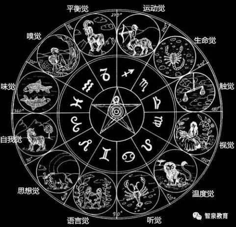 有感奥修聊老子乱谈十二感官