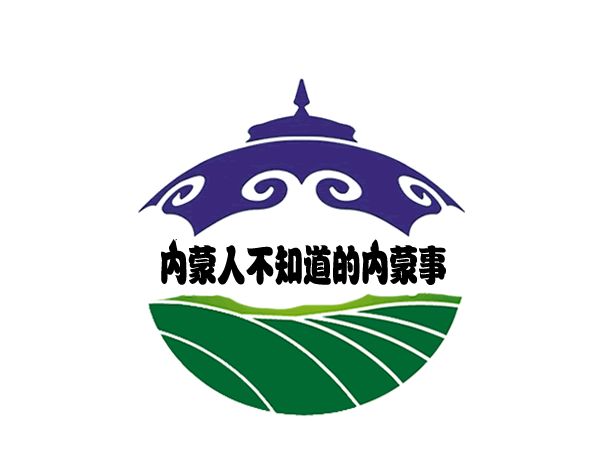 点赞内蒙古姑娘拿到2020东京奥运会入场券