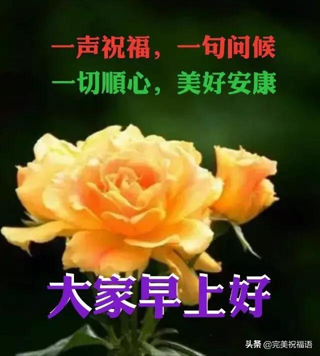 鼠年二月十六早上好祝福語3月9日週一早安表情圖片帶鮮花免打字