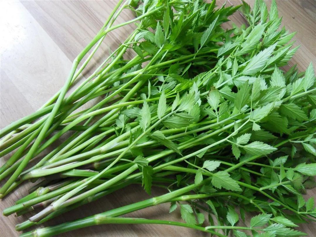 水 芹菜吃法:有很多种,焯过之后炒食,凉拌,做馅都可以,如大蒜拌马齿菜