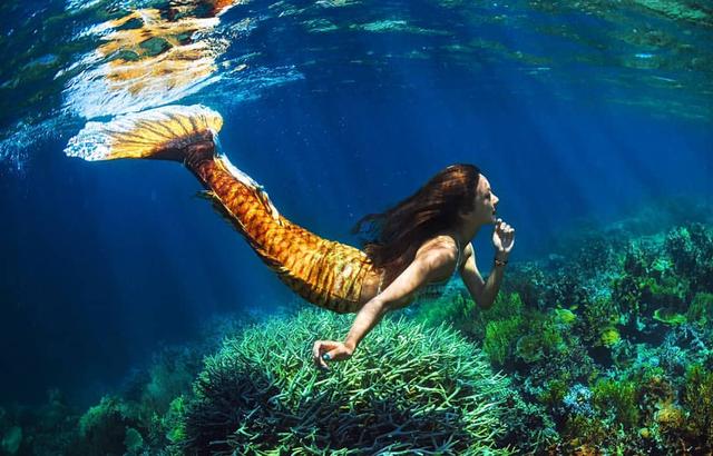 亚洲潜水季军化身美人鱼畅游海洋为环保不涂防晒甘愿晒黑