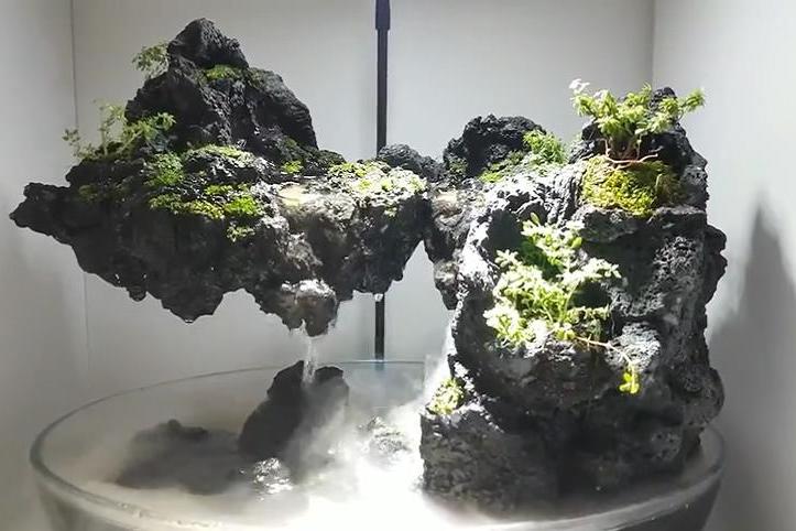 水草缸石头还能悬空这样的草缸造景你见过吗