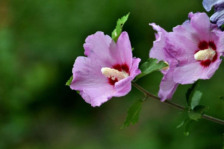 太清宫生肖运势准吗吗(太清宫什么意思)