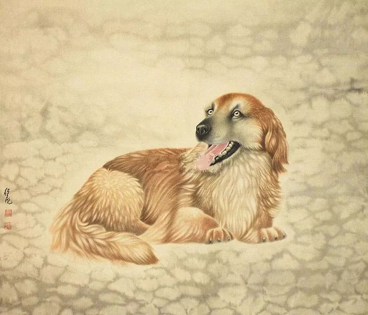 国画狗写实画风细腻清雅空灵