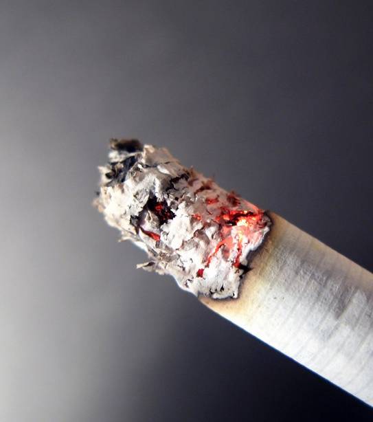 崇左火焰蓝课堂烟头的威力有多大