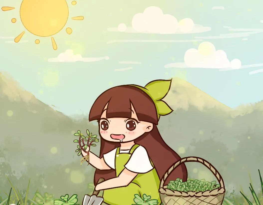 吃春去孟津野菜正当时