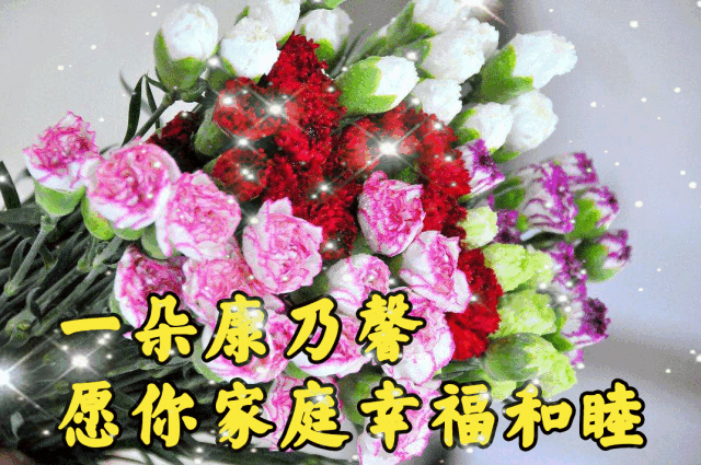 38女人节最美的玫瑰献给天下女人祝姐妹们美貌如花幸福像花