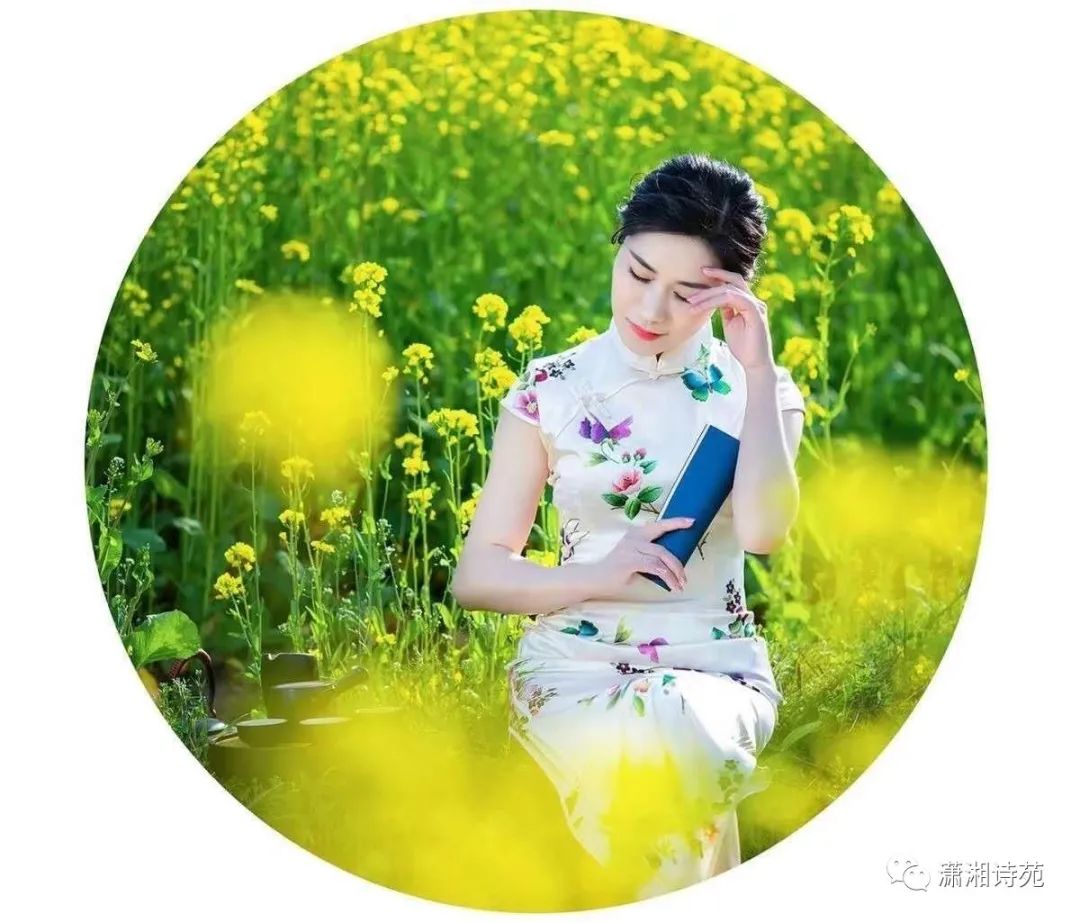 聆听清风暖阳轻引岁月入笺