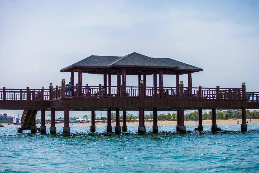 栈桥实景图 08 蔚蓝海岸在蔚蓝海岸,遇见文艺天堂丨猫的天空之城