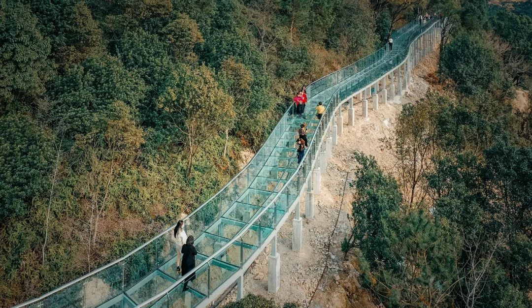 兰山公园玻璃栈道图片