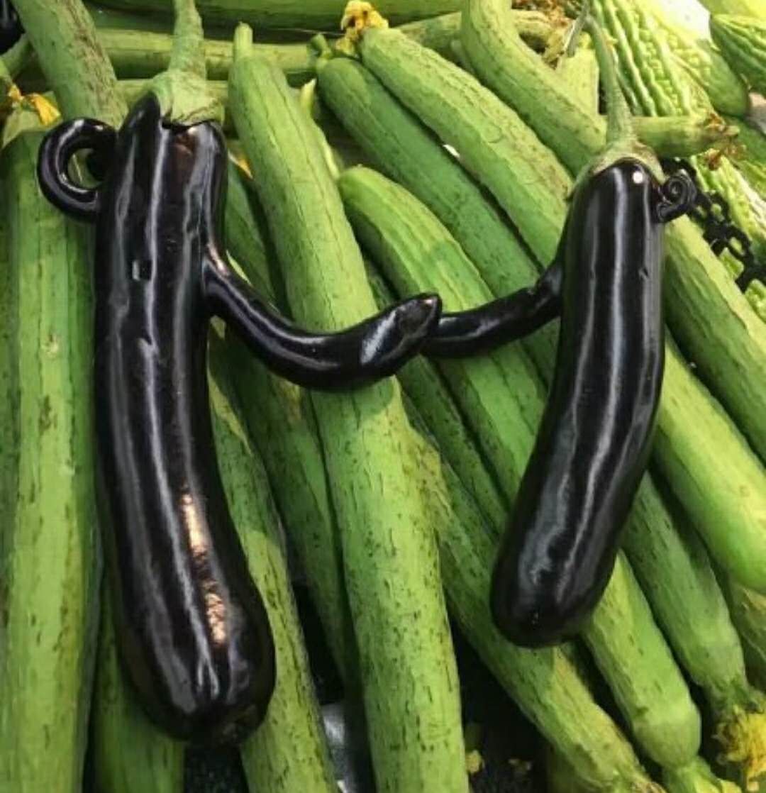 为什么你这么妖娆 突然觉得这个青椒 看这个茶壶,哦不对,茄子 其实我