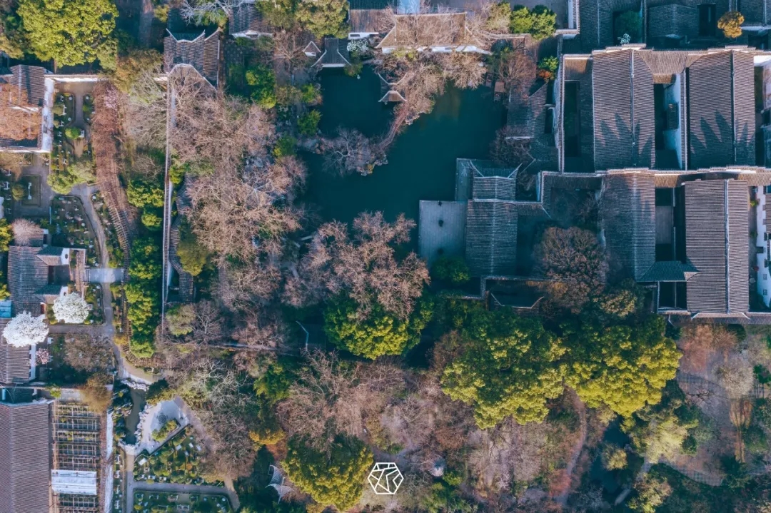 组图丨春日苏州留园,玉兰山茶争相艳.如诗如画,静谧优雅,盼与君共赏