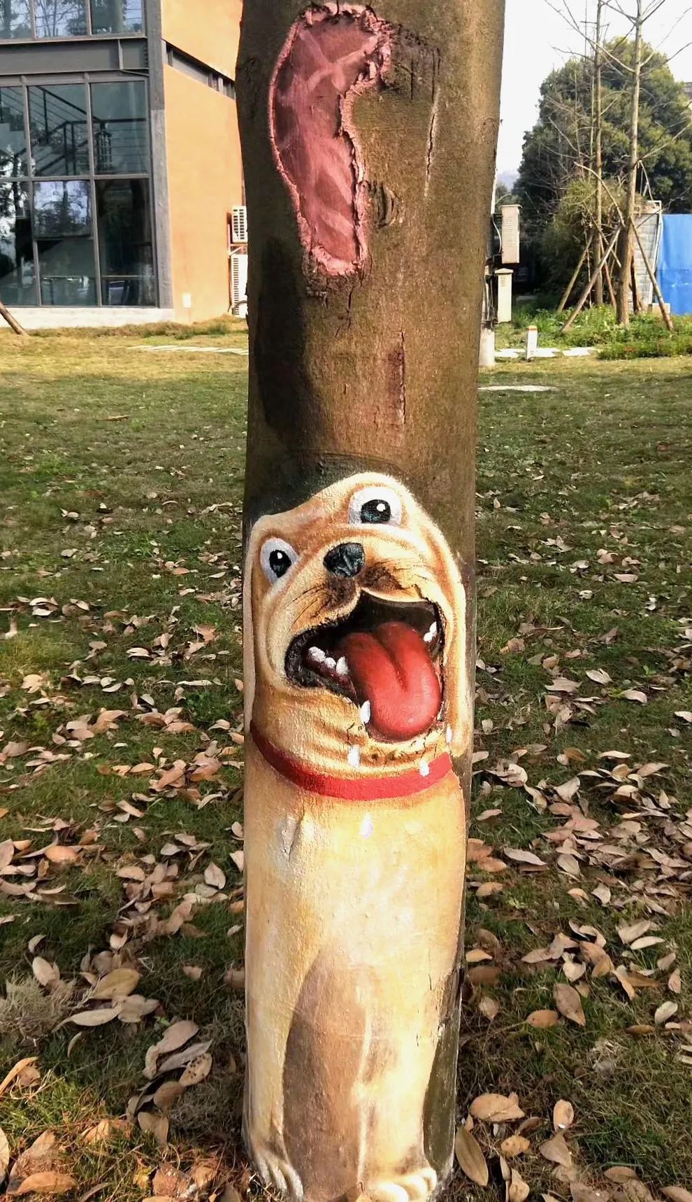 3d彩绘艺术家760先生正在与一只树蛙互动,哇,好特别的青蛙!