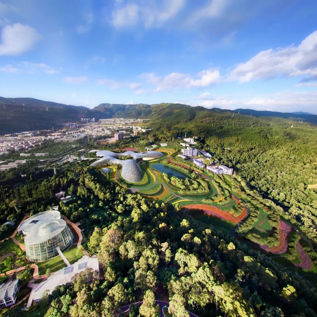 昆明国家植物博物馆效果图首次曝光,像一朵"水溶花"~_建设