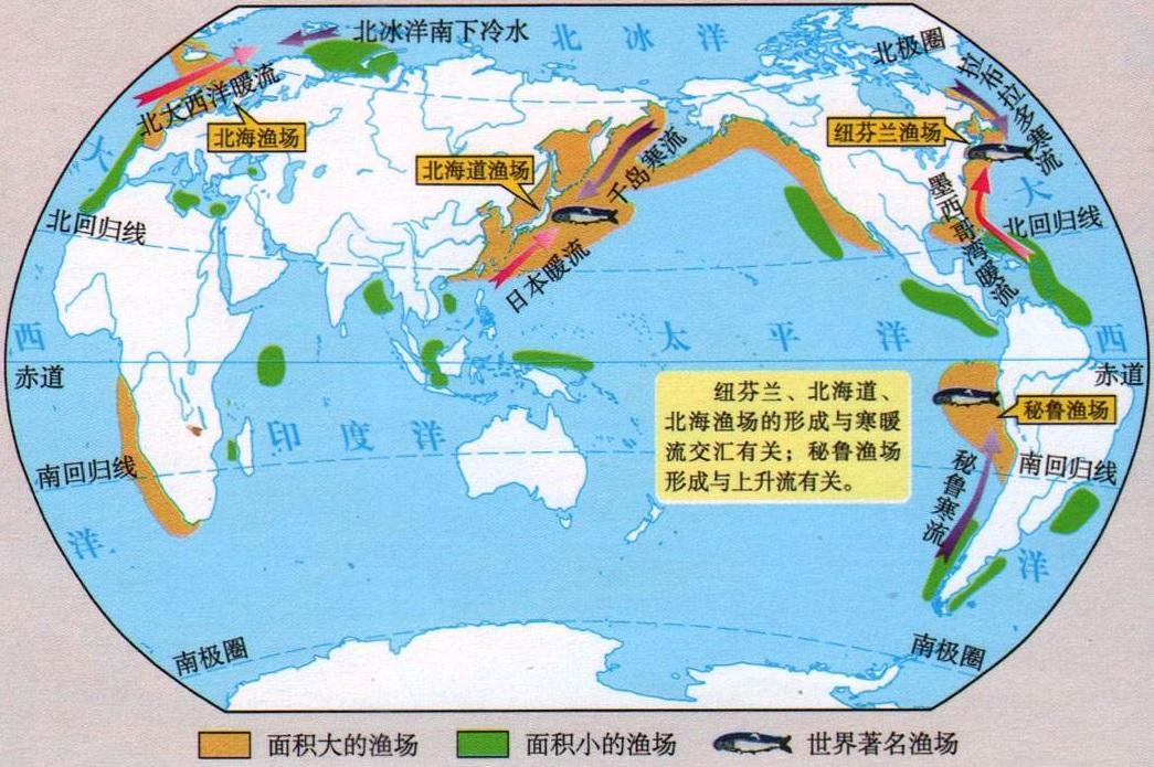 世界著名的四大渔场分布在哪儿?它们的形成原因是什么?