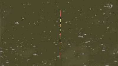 春钓鲫鱼看到这8个漂相可马上提竿_鱼已