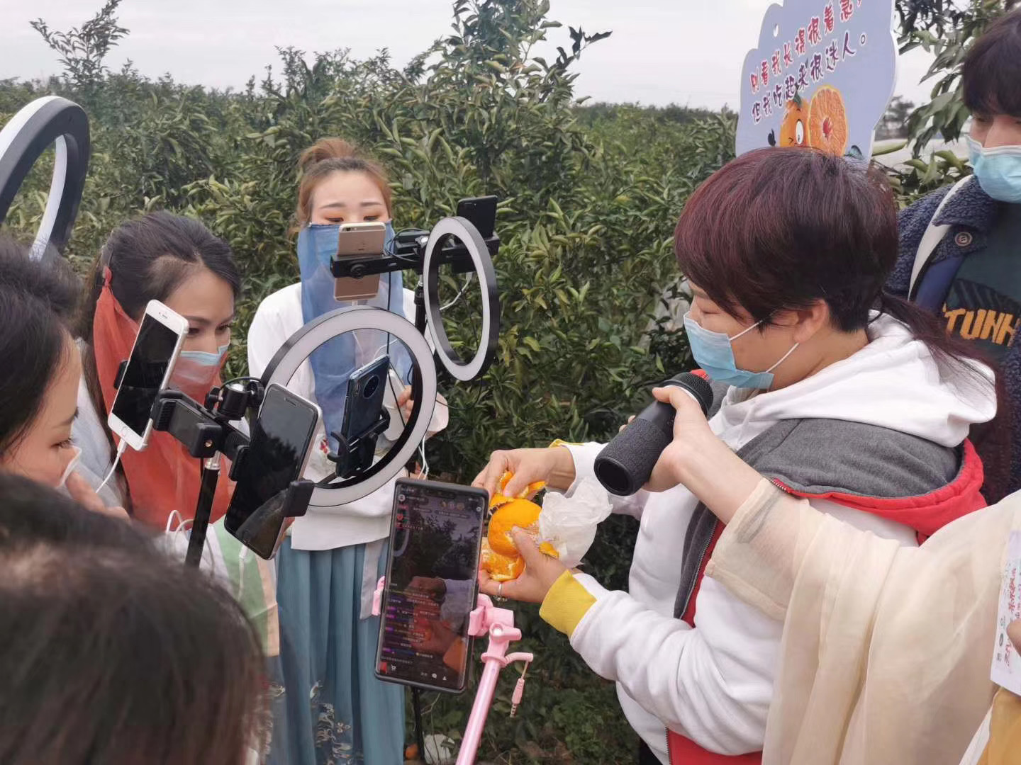 "造血式助农"让滞销果变网红果 淘宝一月卖掉1.5万吨四川水果!