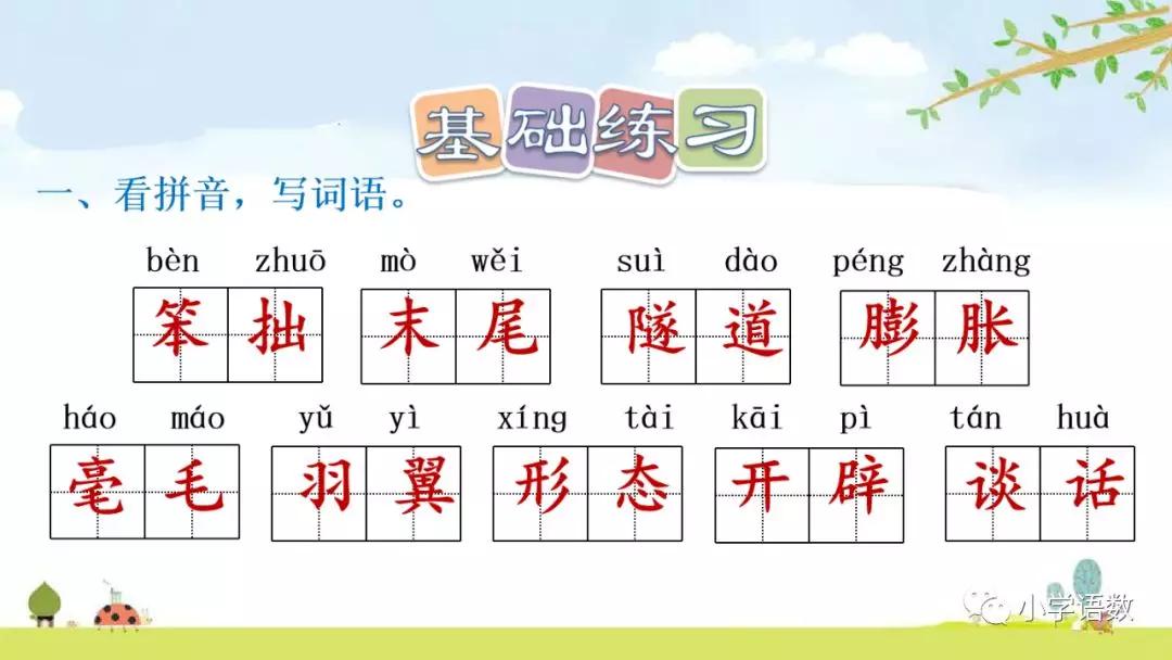 因为它的前肢和身体中间长出了一张薄薄的皮膜.