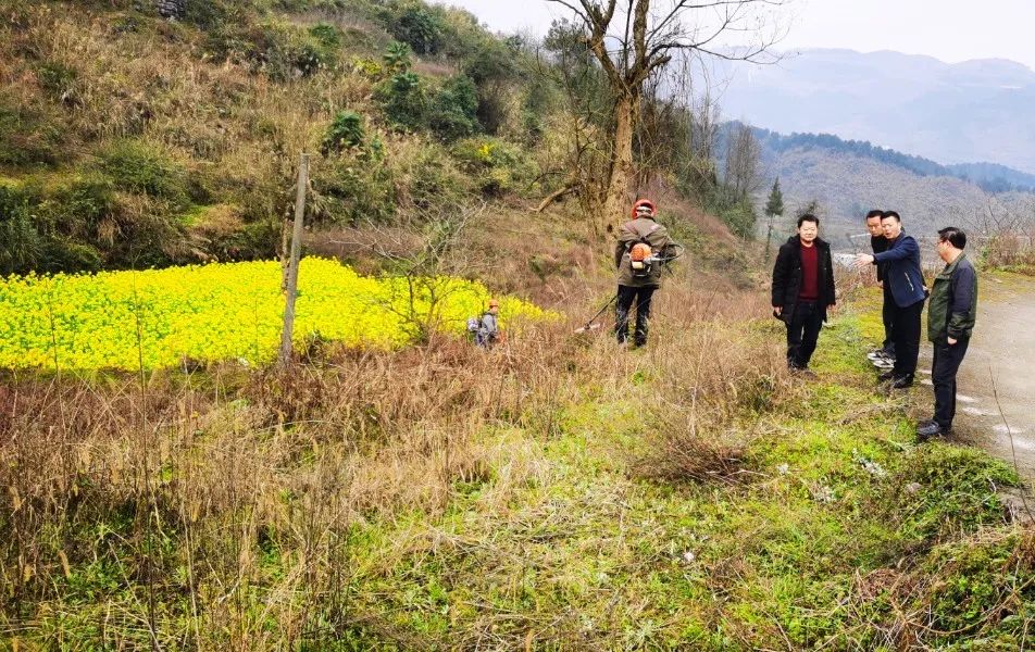 长坝镇春耕生产忙产业遍地兴