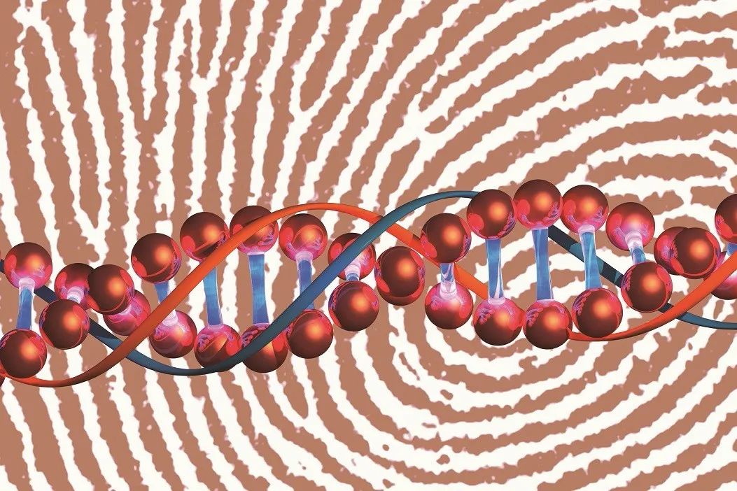 十個科學關鍵詞與科學的歷程(上)_研究