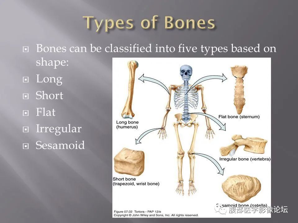 医学影像英语每日读丨126imagingofthemusculoskeletalsystembone